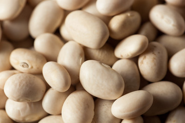 Fototapeta na wymiar Raw Organic White Navy Beans
