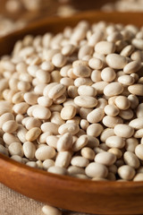 Raw Organic White Navy Beans