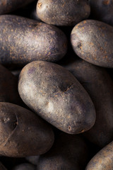 Fototapeta na wymiar Raw Organic Purple Potatoes