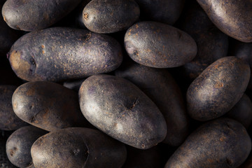 Raw Organic Purple Potatoes