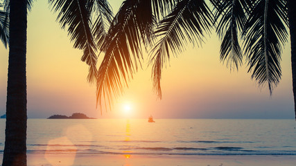 Naklejka na ściany i meble Sunset on the tropical coast, through the palm leaves.
