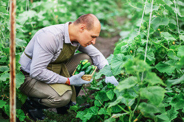 The man in garden.