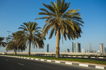 Fototapeta premium General view of modern buildings in Sharjah