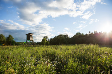 Raised shed hunting for deer in the middle of a forest of poplars. Wooden hunters high seat hunters...
