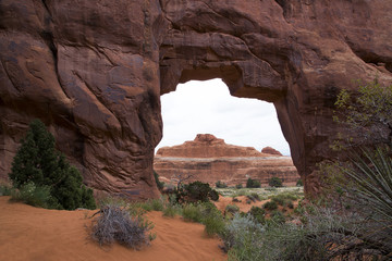 Pine Tree Arch, Arches National Park Moab Utah.