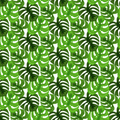 Monstera tropic plant leaves green dense foliage seamless pattern. Exotic nature pattern for fabric, wallpaper or apparel.