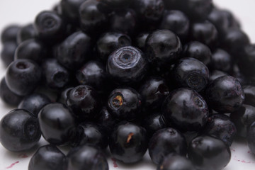 Pile of blueberries with white background