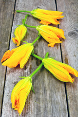 Zucchini Flowers on a Wooden Background