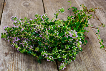 Flowers and Stems of Thyme