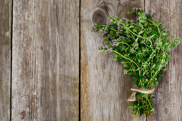 Flowers and Stems of Thyme