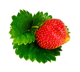 Tasty Sweet Strawberry Isolated on White Background