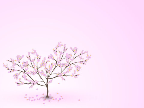 Weeping cherry tree with falling flowers on a pink background