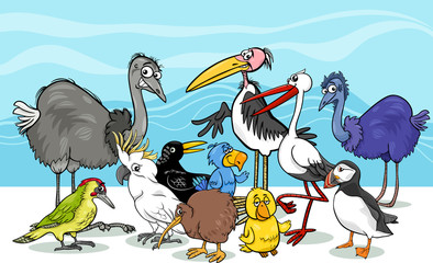 birds group cartoon illustration