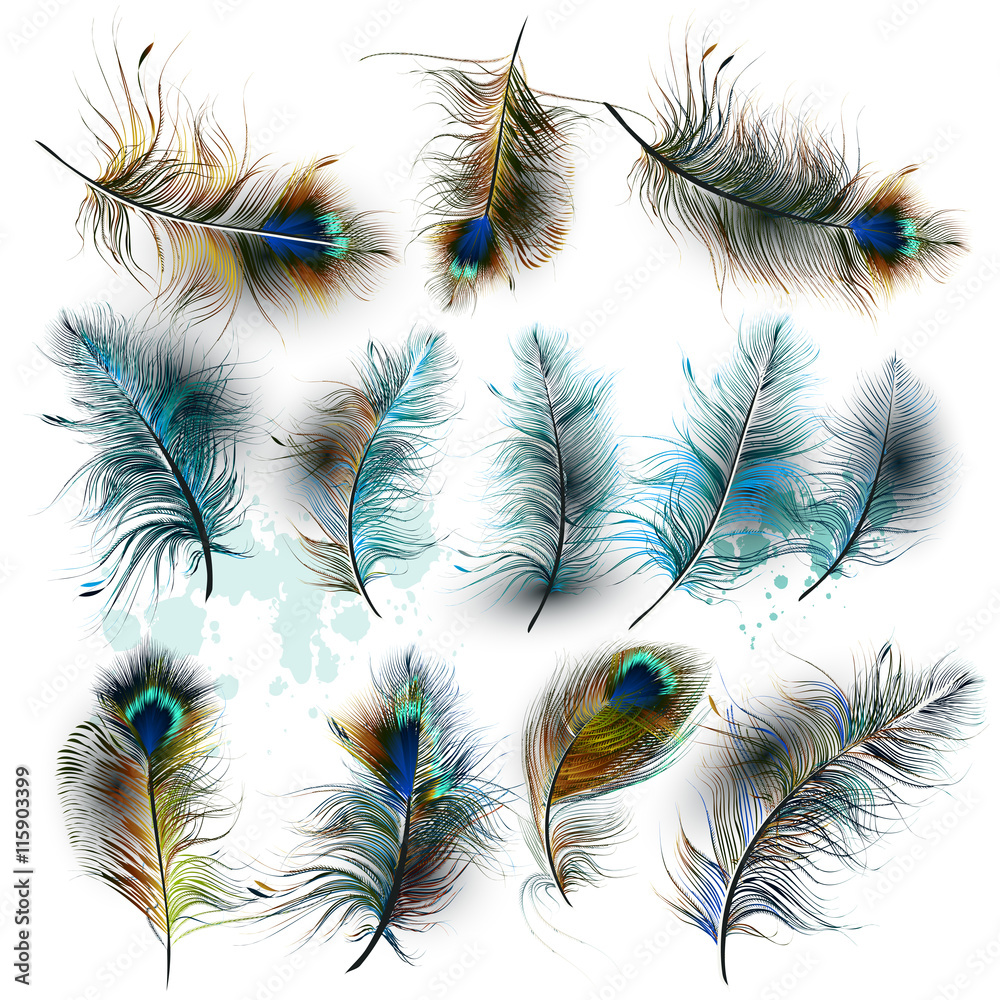 Aufkleber set of vector realistic colorful feathers