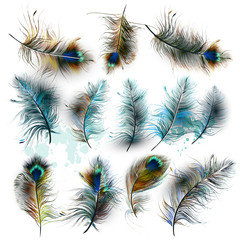 Set of vector realistic colorful feathers