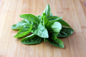 A bunch of freshly harvested basil set on a bamboo cutting board