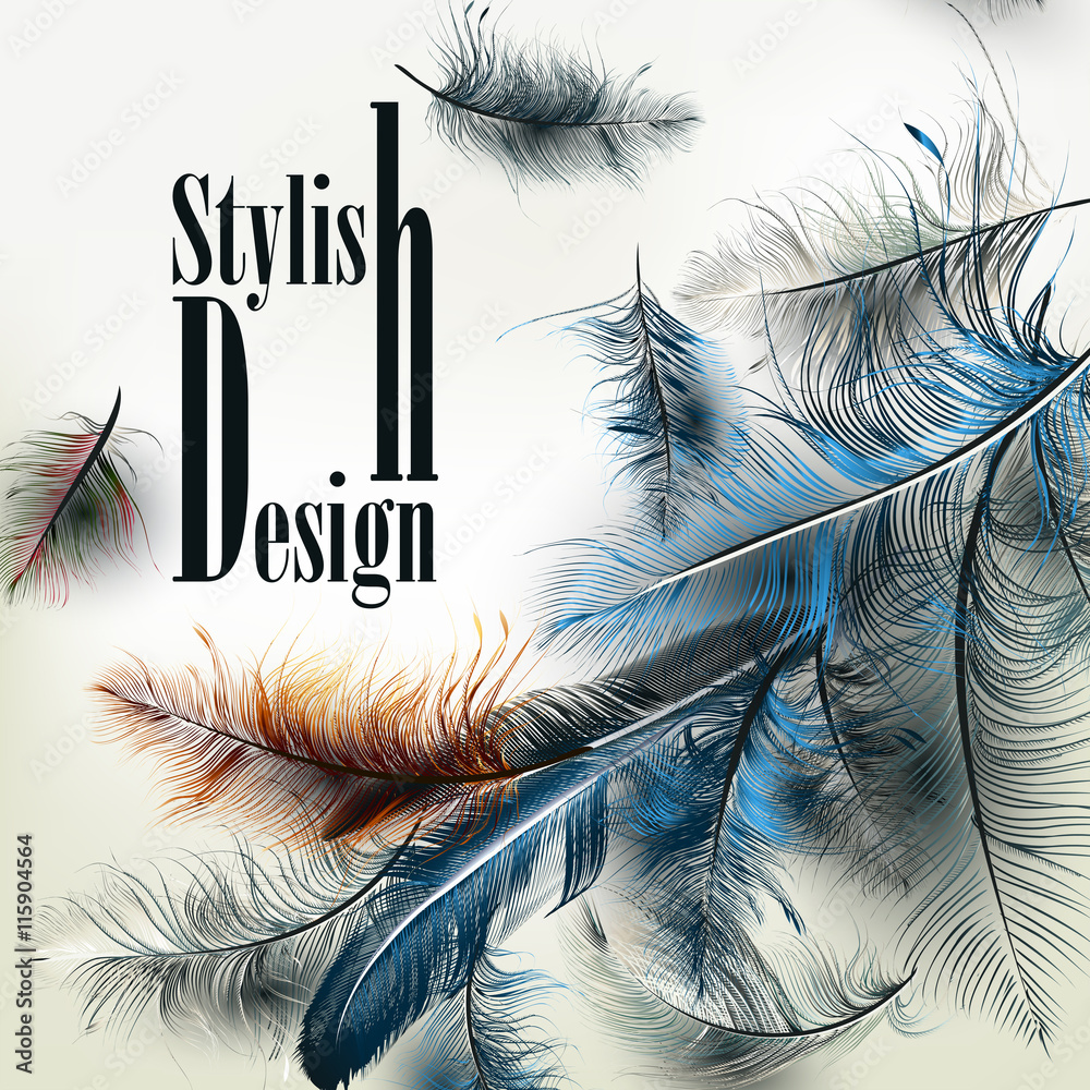 Poster Creative vector background with blue feathers and signature styl