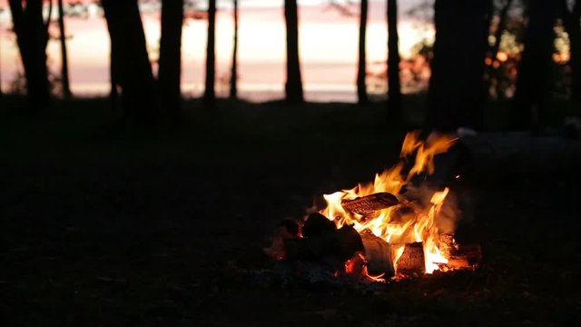 Night bonfire in the camp