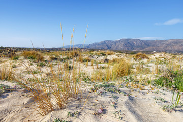 Elafonissi Beach on Crete, Greece