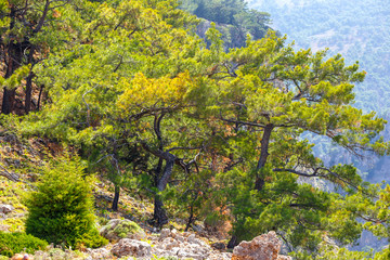 Aradena George on Crete, Greece