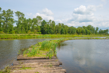 Corduroy road through a lake in summer