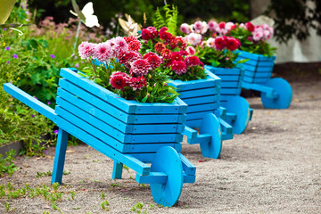 Fototapeta na wymiar Background of garden design. Landscaping in park with blue handmade carts decorated with flowers