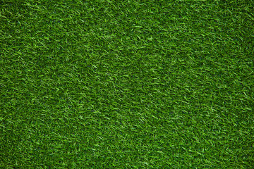 Obraz premium Green lawn texture, background of green grass