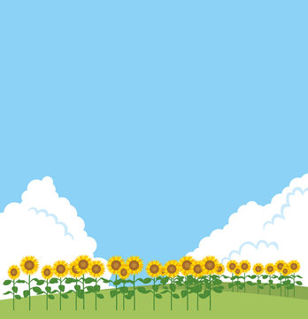 原っぱ の画像 11 237 件の Stock 写真 ベクターおよびビデオ Adobe Stock