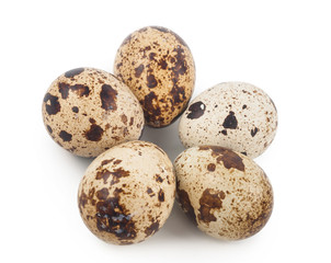 Fototapeta premium Quail eggs