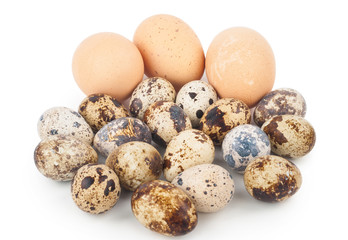 chicken eggs and quail eggs
