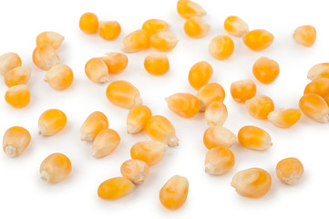 Corn seeds