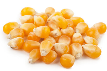 Corn seeds