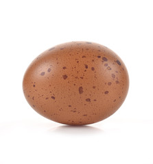 Eggs isolated on white