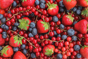 Berries background. Different summer fresh berries - strawberries, blueberries and red currants.