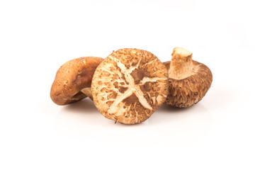 fresh Shiitake mushroom on white