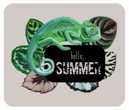 Hand drawn spotted green chameleon with a beautiful begonia leaf. Trendy slogan hello summer on a black background