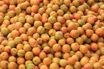 closeup of apricot fruits