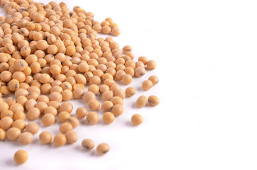 Soybean isolated on white