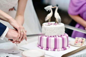 Beauty bride and handsome groom are cutting a wedding cake. Couple in the restaurant with colorful...