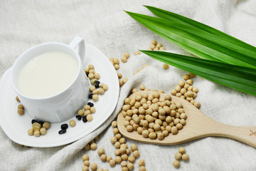 soybean Milk ,bean, healthy food