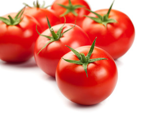 Fresh Red Tomatoes