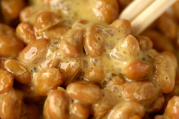 fermented soybeans