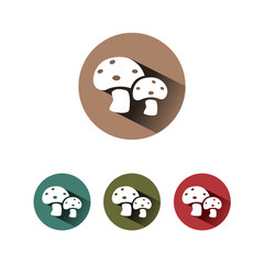 Icono de setas sobre fondos de colores © imaagio.stock