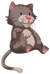 Cute cat with gray fur