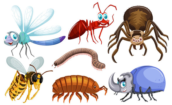 Set of different types of bugs
