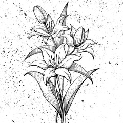 Graphic arts lilies on grunge background