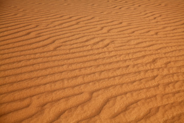 Red sand desert