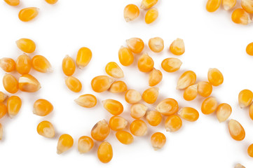 Fototapeta premium Corn seeds