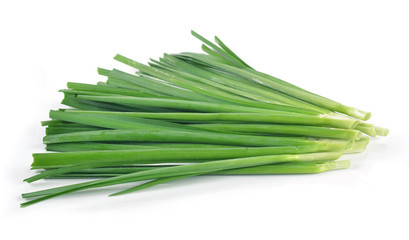 Garlic chives isolated on white background