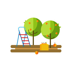 Flat vector illustration apple orchard and harvest fruit. Apple orchard flat icon.